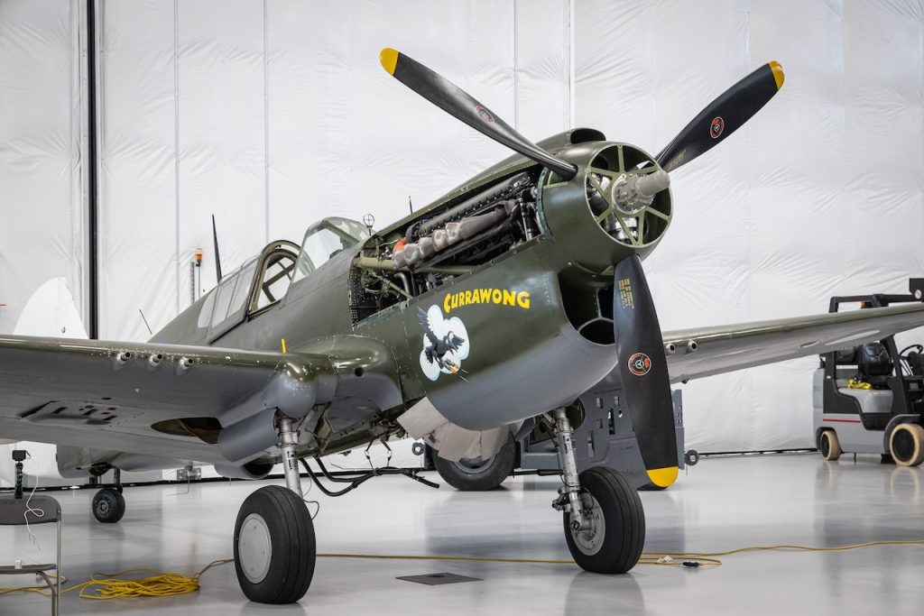 Bringing History to Life: Restoring The Soaring by the Sea's P-40 Warhawk Nose Art 10 073 Bringing History to Life Restoring the Soaring by the Seas P 40 Warhawk Nose Art 658A0700