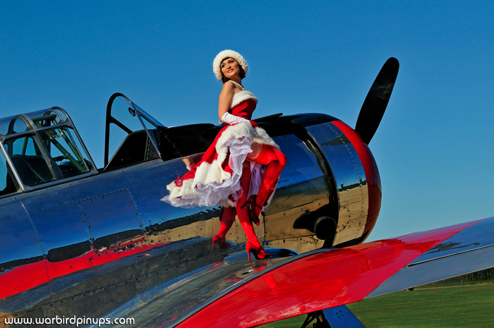 Warbird Pinup Girls - The Interview 13 10173755_10151733941194567_6737986322614168064_n