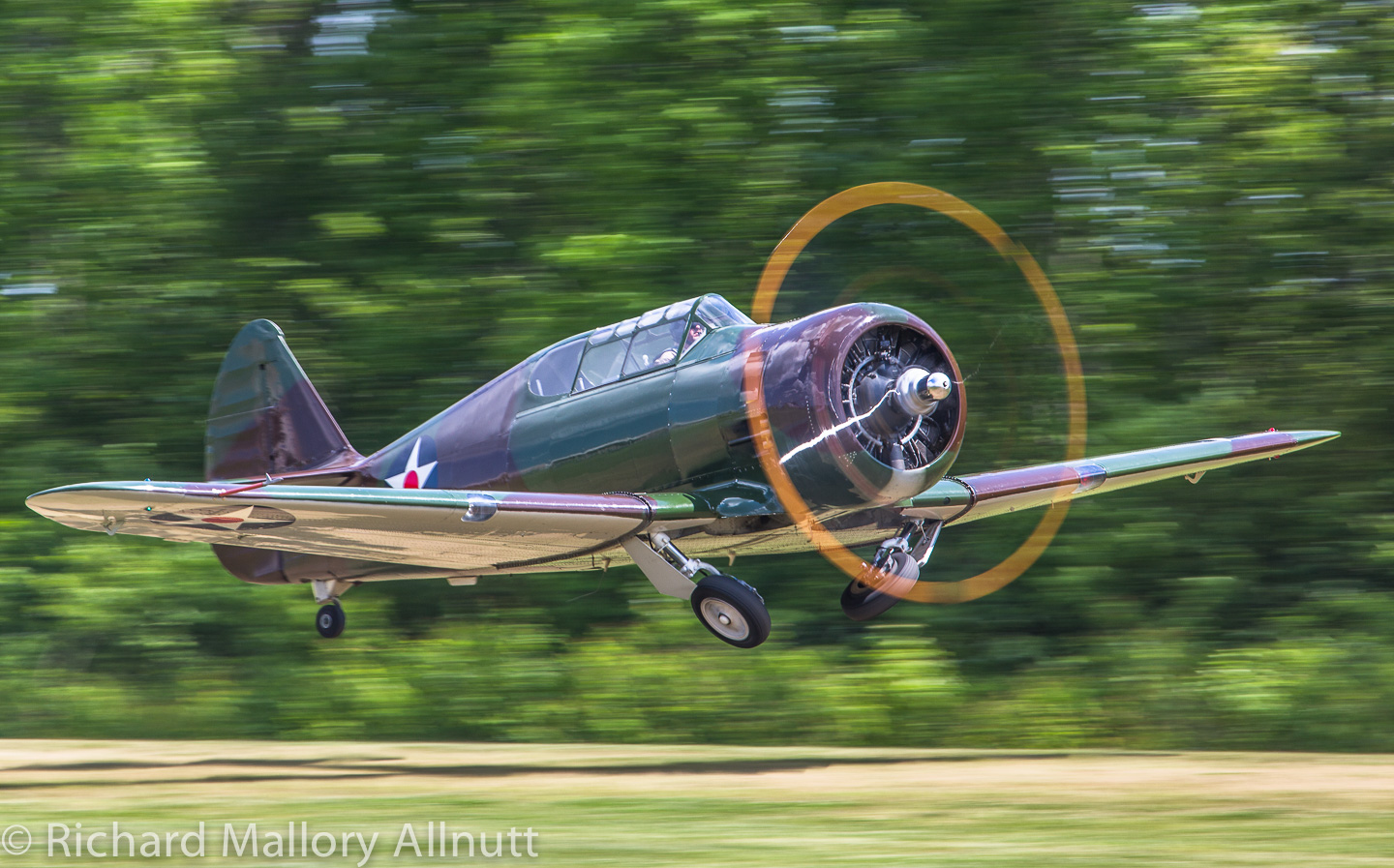 Warbirds Over the Beach - Rescheduled to October 2-4, 2020 11 10271435 10154436371250424 6784076687279351453 o
