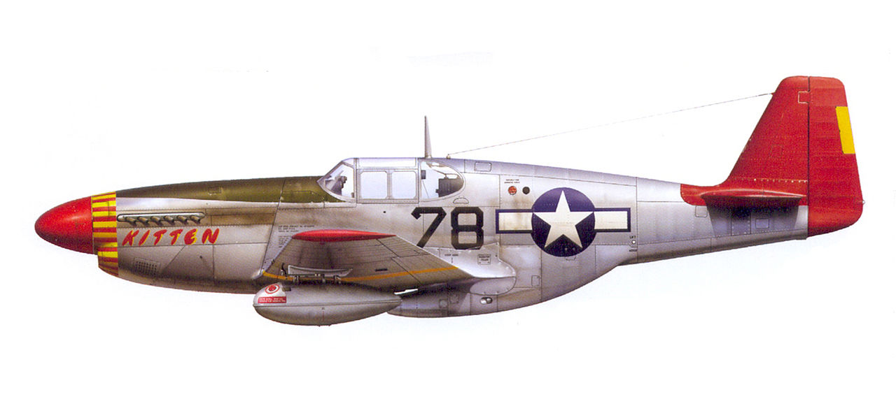 Happy 100th Birthday – Colonel Charles E. McGee 10 1280px 22Kitten22