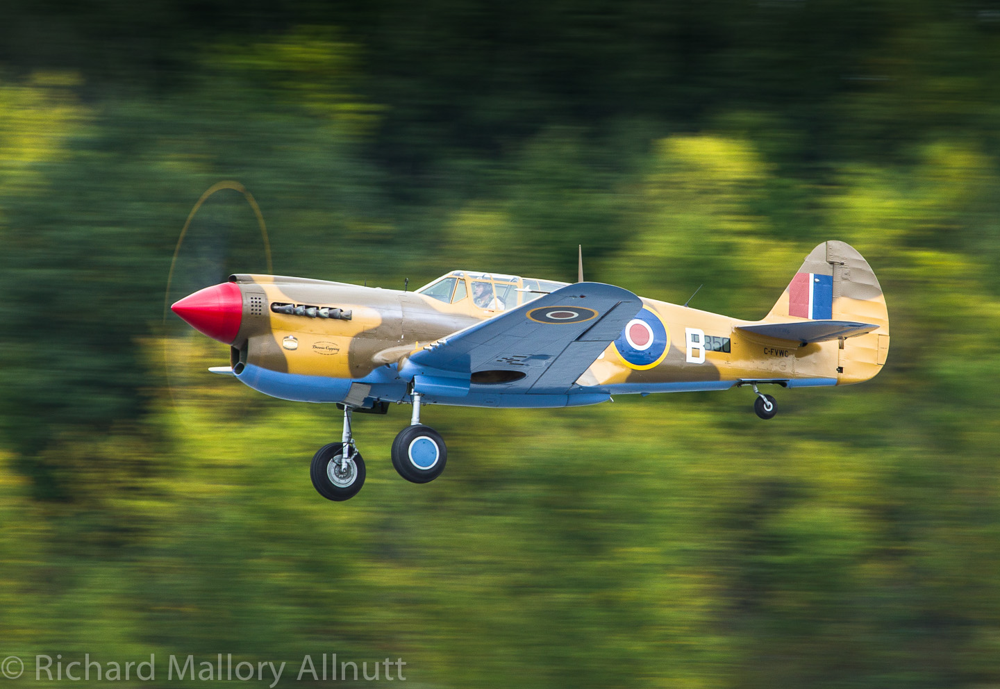 Desert War Kittyhawk Unveiled in Egypt 38 1292135 10153277980205424 1561270554 o