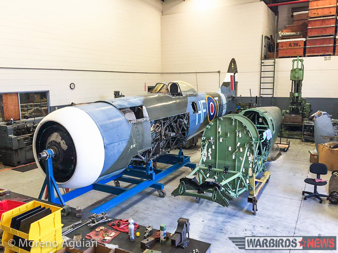 Tempest Fugit - The Resurrection of Two of Hawkers’ Finest Fighters 11 Another view of the two fuselages. The Tempest V has only recently arrived from the UK, while the radial engined Tempest II has been in the USA since the 1980s. (photo by Moreno Aguiari)
