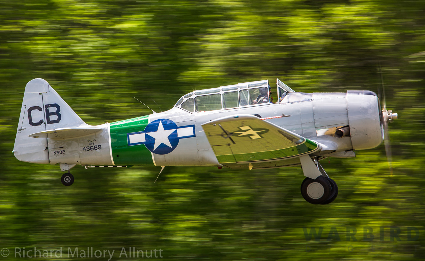 Arsenal of Democracy Fly-Over - May 8th, 2020 16 1556293 10154209402360424 8413707416877043644 o