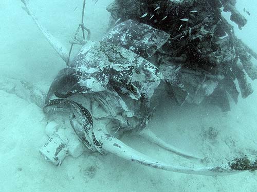 Today in Aviation History: First Flight of the Kawanishi E15K 17 16 05 2013 04 06 Norm Pat R