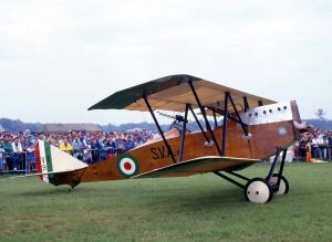 Alenia Aermacchi Will Celebrate its 100th Birthday at 2013 Paris Air Show 12 Alenia Aermacchi's SVA 9 (Image Credit: GAVS-Torino)