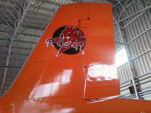 Iconic Aermacchi MB-326 Jet Returns to Italian Skies 18 (Image Credit: Volafenice)