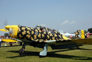Air Show Report: HAG Flyparty 2013 was Full of Surprises 11 Fiat G.46 in the livery of the Regia Aeronautica. (Image Credit: Paolo Franzini)