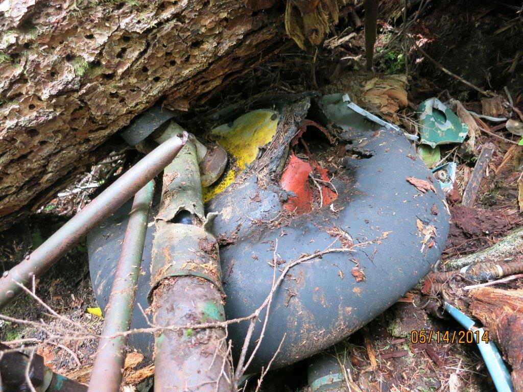 Discovering the Wreck of Avro Anson L7056 on Vancouver Island 13 Wreckage of Avro Anson Mk.I L7056 at its recently discovered crash site on Vancouver Island in British Columbia, Canada. (photo via Allan Scott)