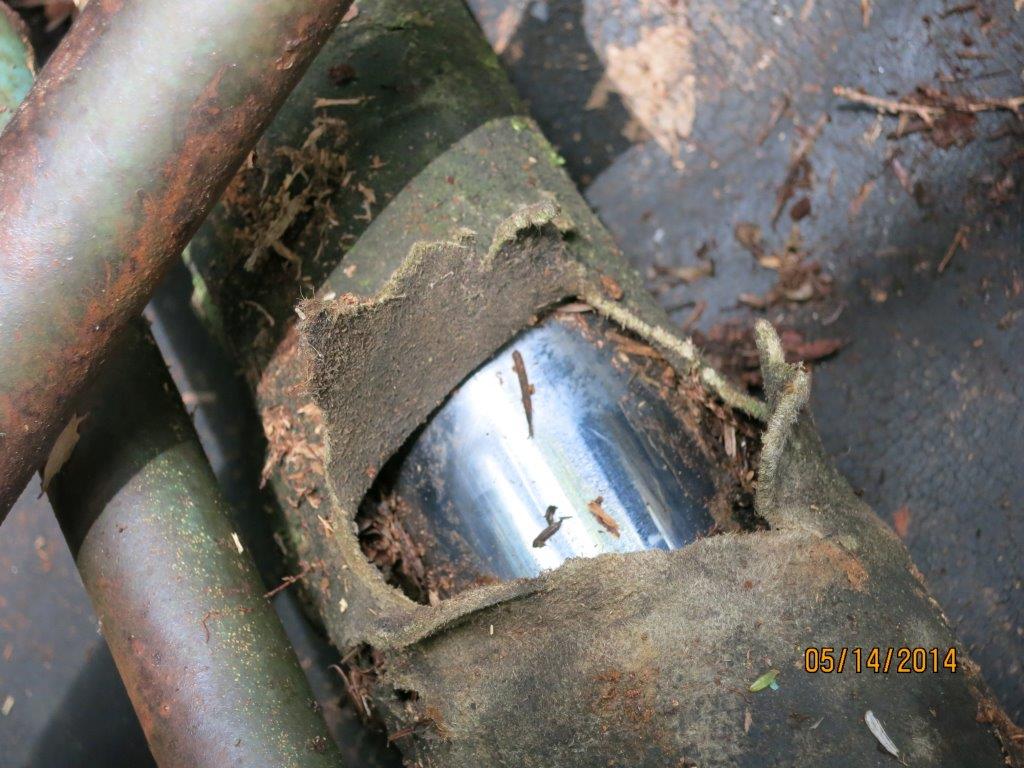 Discovering the Wreck of Avro Anson L7056 on Vancouver Island 15 Part of the tail wheel oleo found in the wreckage of Avro Anson Mk.I L7056 at its recently discovered crash site on Vancouver Island in British Columbia, Canada. (photo via Allan Scott)