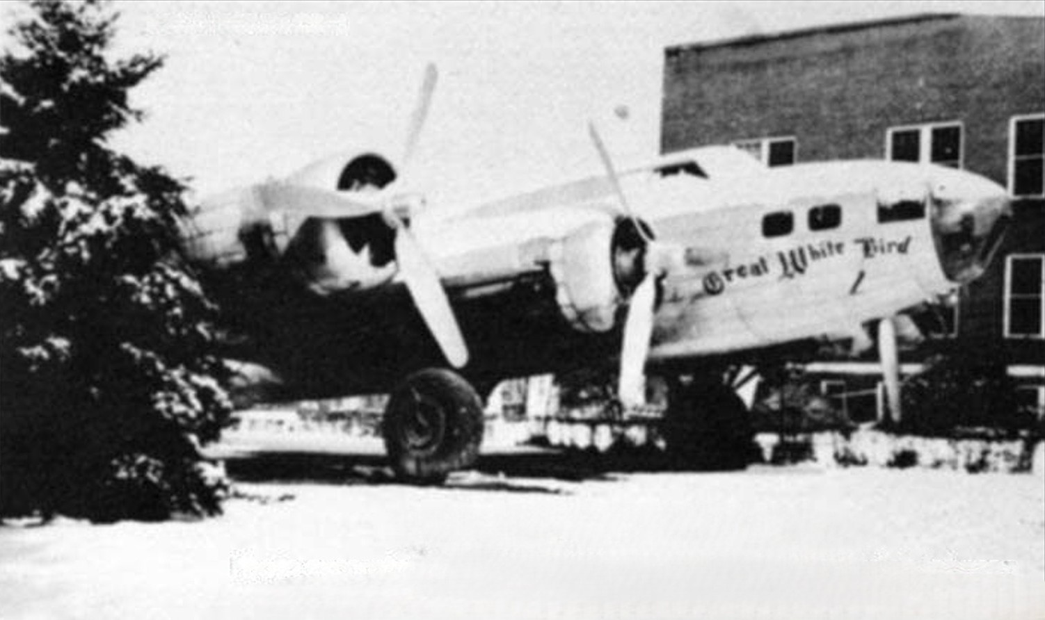 Randy's Warbird Profiles: Boeing B-17F Flying Fortress, s/n 42-29782 23 229782 1