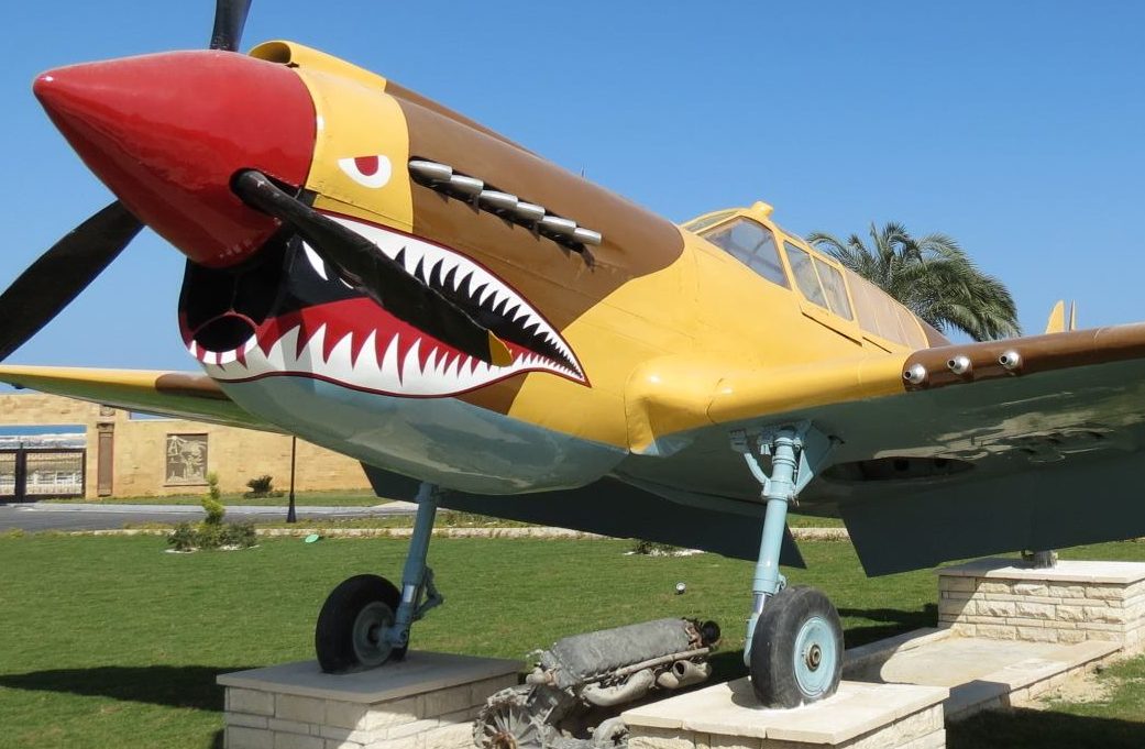 Desert War Kittyhawk Unveiled in Egypt 33 26026141 10213495950489716 2561616498320303445 o e1515710430128