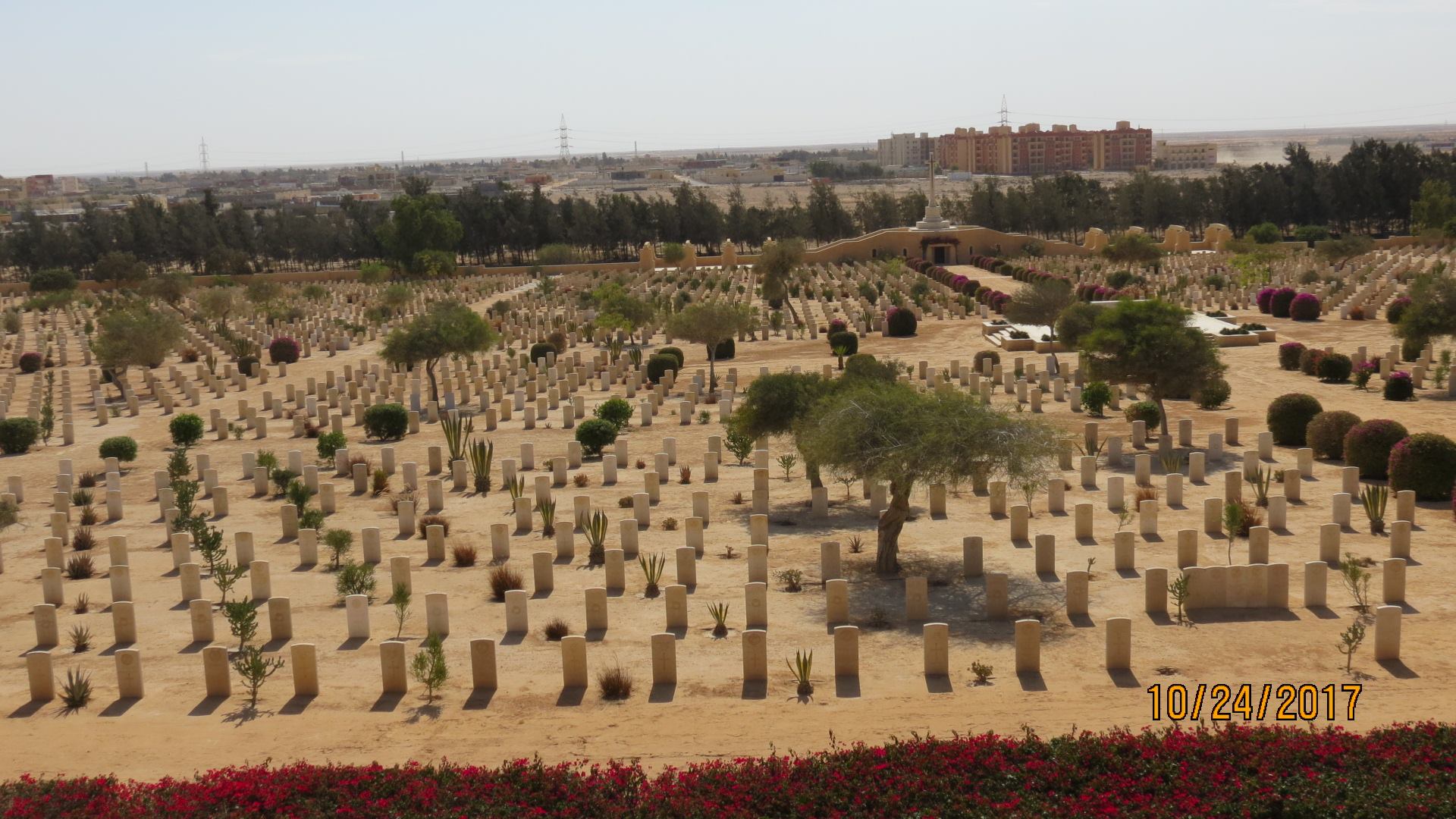 Desert War Kittyhawk Unveiled in Egypt 29 26171546 10213495984650570 4763266683862114065 o