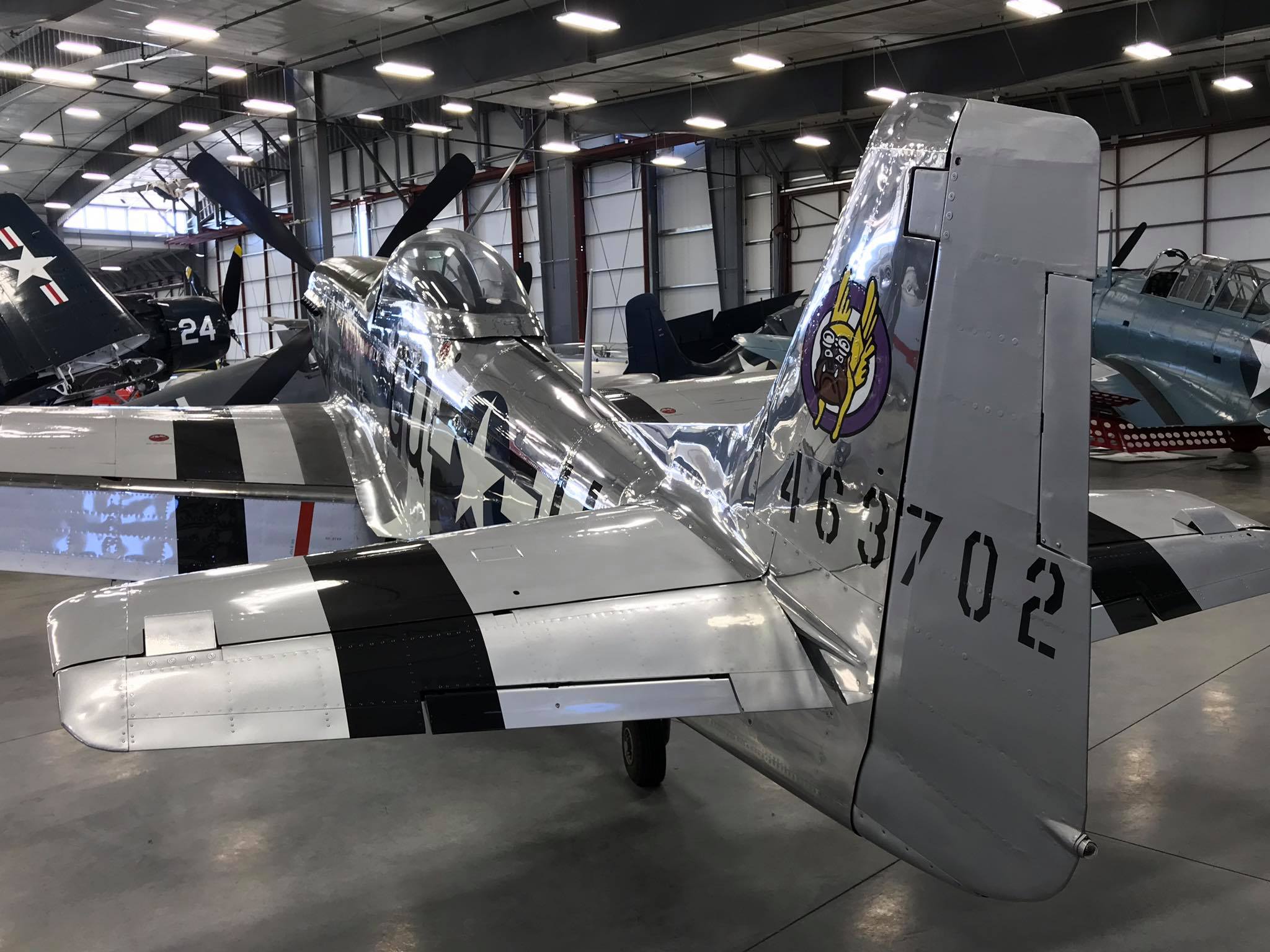 Randy Warbird Profiles: North American P-51D-20-NA, s/n 44-63701 20 42369886 2300577776636533 618187403261116416 n 1