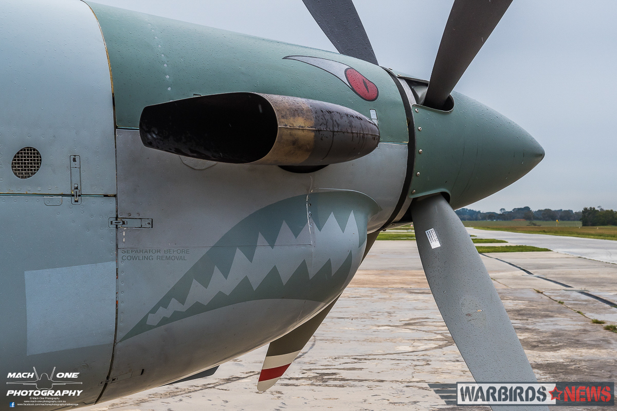 4 Squadron RAAF: Celebrating A Centenary - 1916 - 2016 27 A closeup of the PC-9's engine and 'shark mouth' livery reminiscent of the WWII-era 4 Squadron RAAF markings. (photo by Matt Savage)
