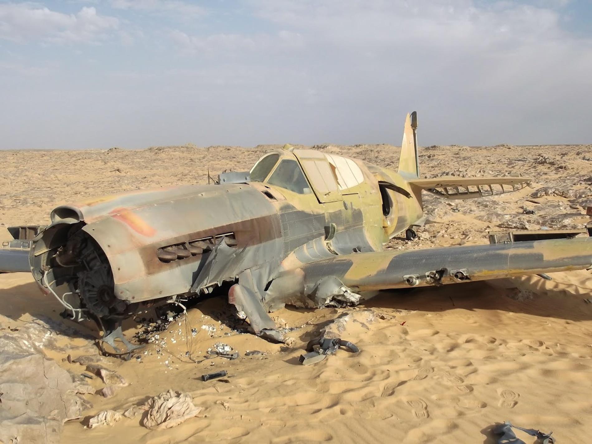 Desert War Kittyhawk Unveiled in Egypt 10 53831.adapt .1900.1