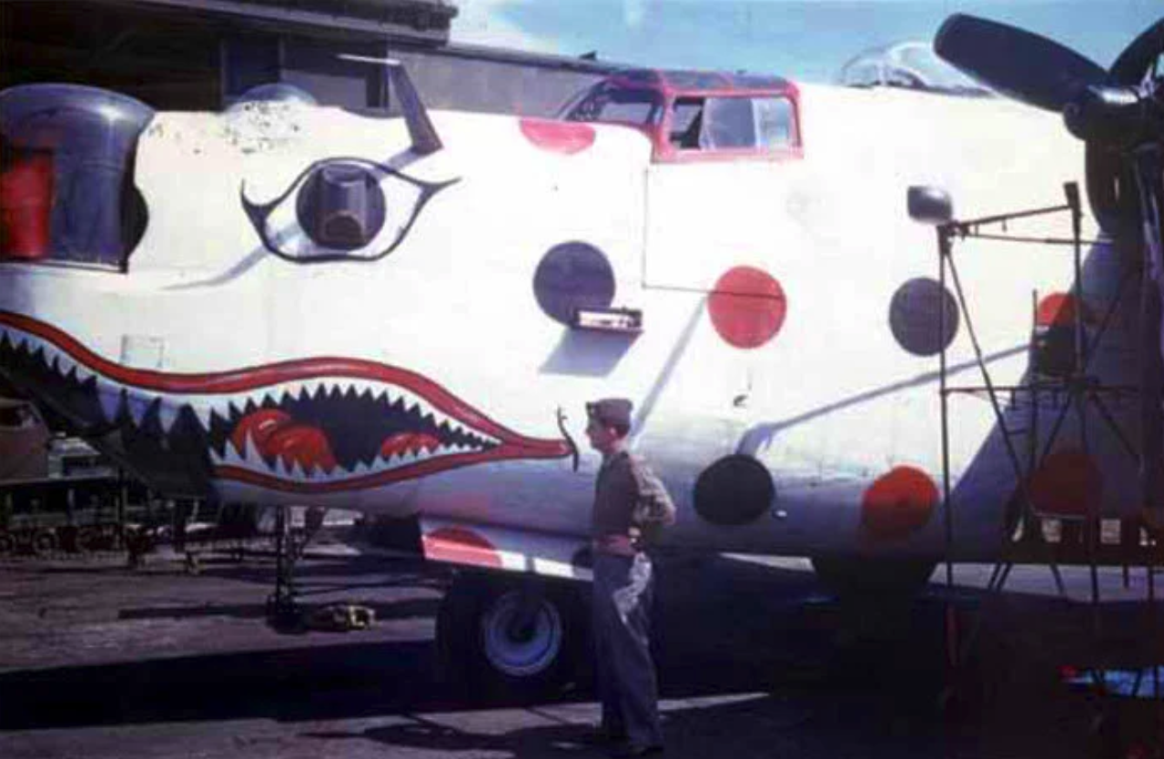 The Polka Dot Warriors: How Assembly Ships Guided the Mighty Eighth 10 B 24H Liberator 41 28697 was also known as Wonderbread a nickname inspired by her paint schemes resemblance to the classic Wonderbread packaging. Photo via 458bg.com