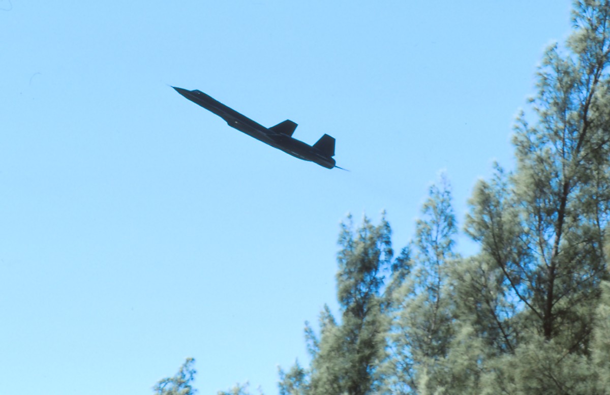 Tomcat Tales - A Stray Blackbird in Key West 15 Bio SR 71 story treeline