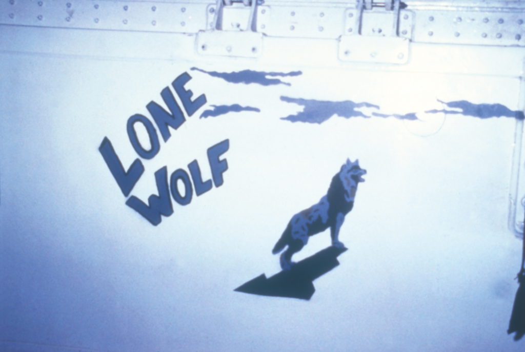 Desert Storm Veteran F-117 Nighthawk Moving to The Evergreen Aviation & Space Museum 14 Bomb Bay F 117 Lone Wolf