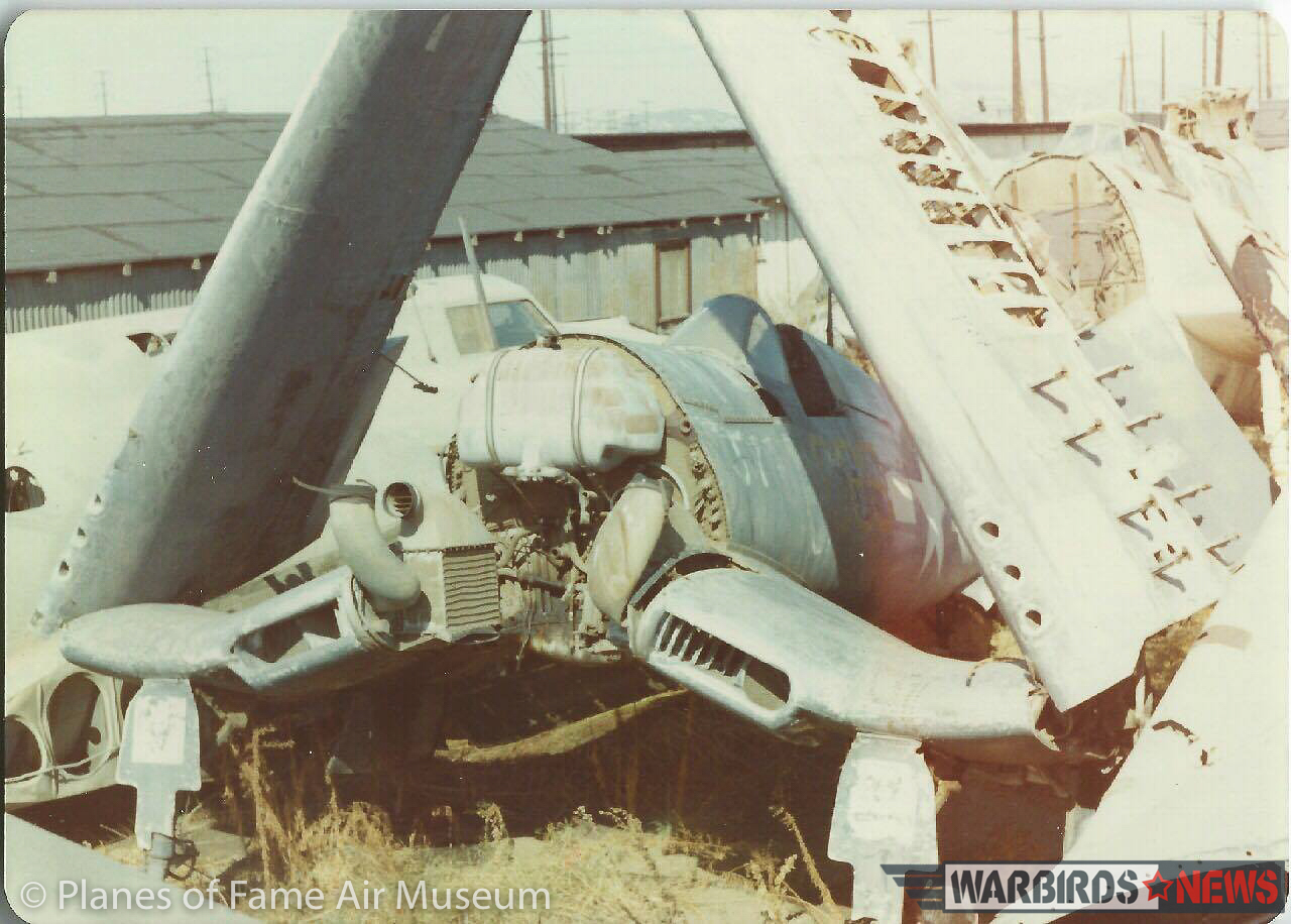 Planes of Fame Air Museum's F4U-1A Corsair Is a Combat Veteran! 14 Bu.17799 as she looked when Ed Maloney found her at the MGM studio during the 1960s. The museum restored her to pristine flying condition in the 1970s, and she's performed regularly before countless air show attendees over the past four decades. (Planes of Fame photo)