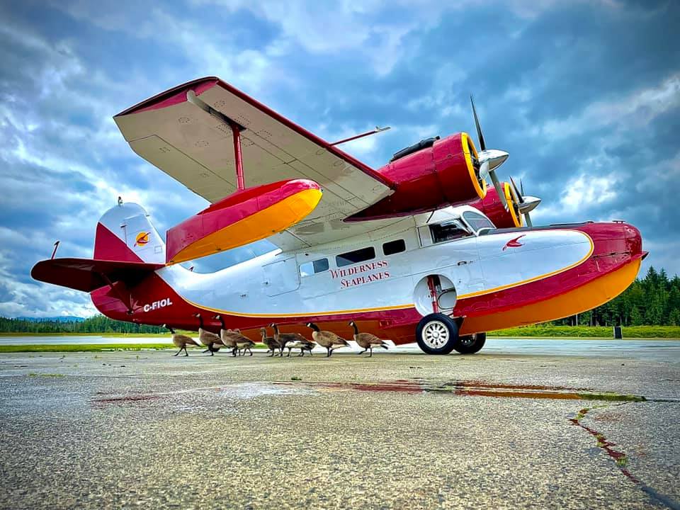 Wilderness Seaplanes 12 C FIOL Wilderness Seaplanes Grumman G 21A Goose