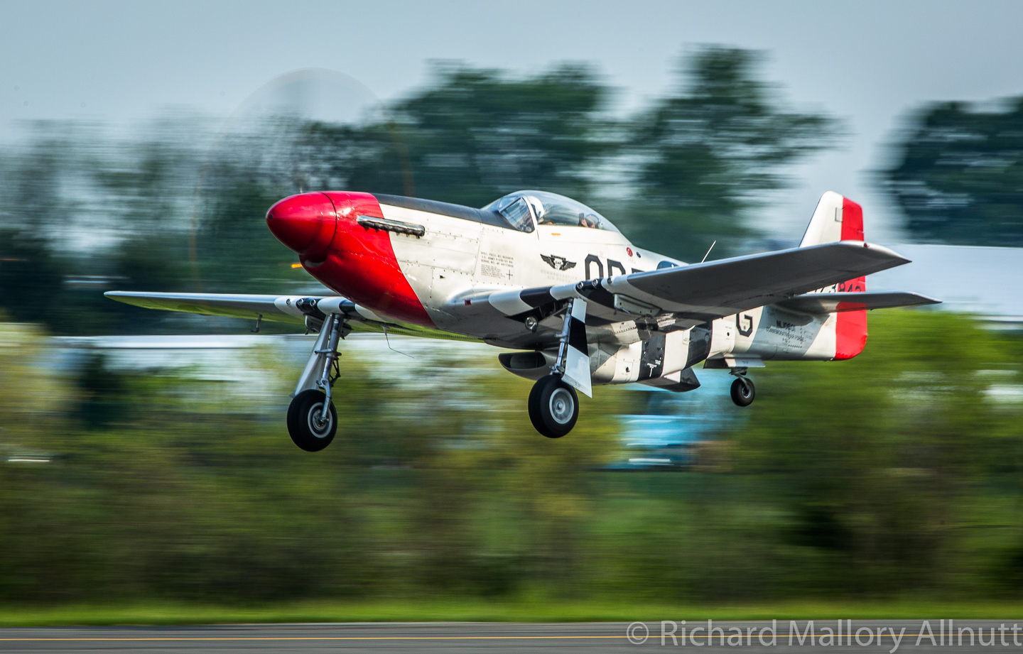 Warbirds Over the Beach - May 15th-17th, 2015 15 The Dixie Wing's P-51D "Red Nose" will be attending Warbirds Over the Beach fresh from her triumph at the Arsenal of Democracy Flyover event in Washington, DC. Several of the Military Aviation Museum's aircraft also took part in this mammoth undertaking to celebrate the end of WWII. (photo by Richard Mallory Allnutt)