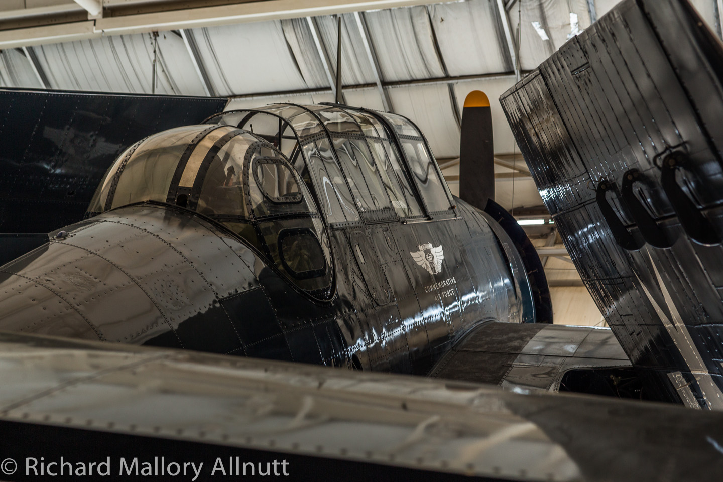 Tuskegee Valiant Campaign - Plus Freshly Restored TBM Avenger 17 The CAF's latest airworthy Avenger originally served in the Royal Canadian Navy as a TBM-3S, but has received modifications to TBM-3E status, complete with an original operational rear turret. (photo by Richard Mallory Allnutt)