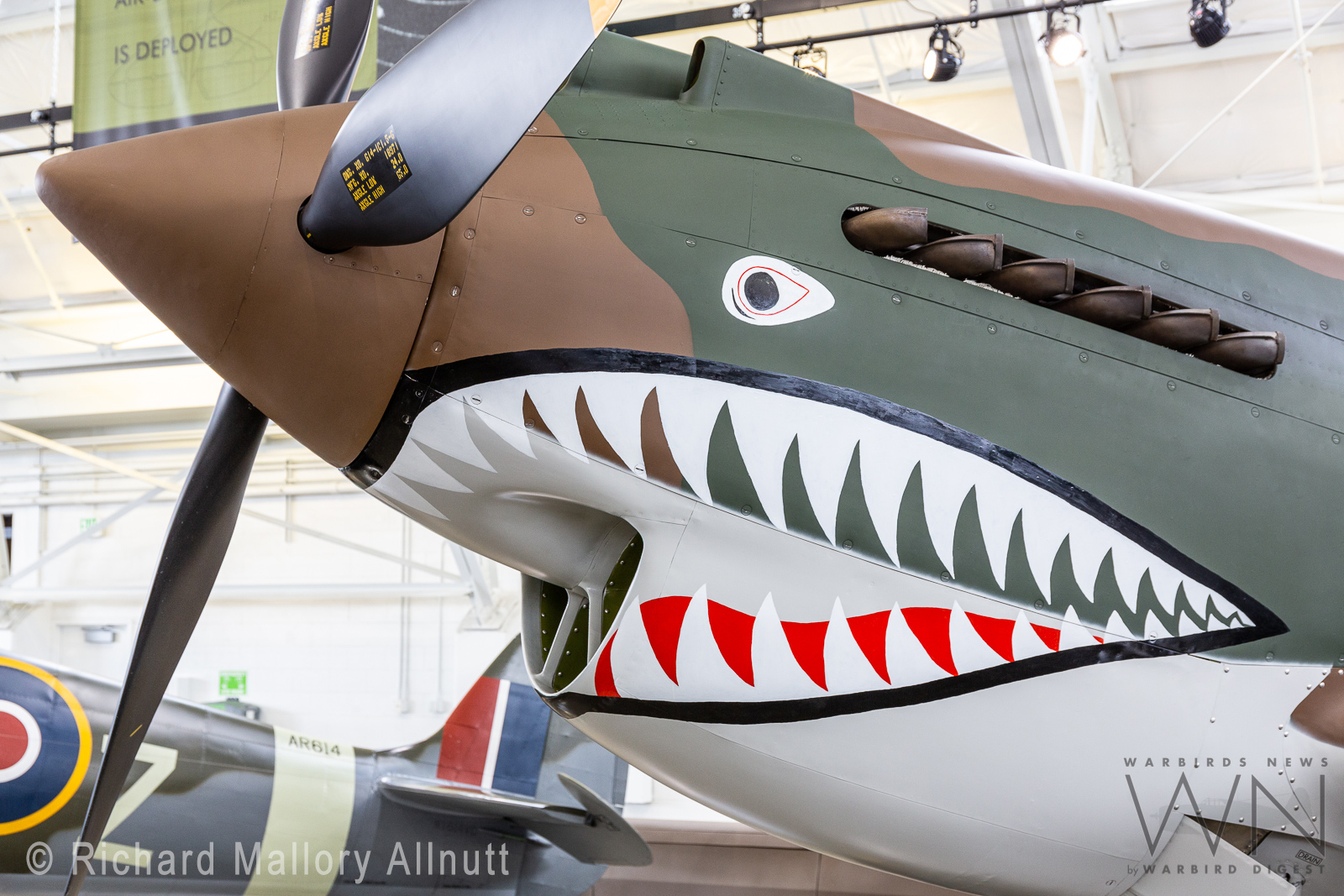 Flying Heritage & Combat Armor Museum - Pacific Theatre Day - Sat.23rd June 9 C8A6284