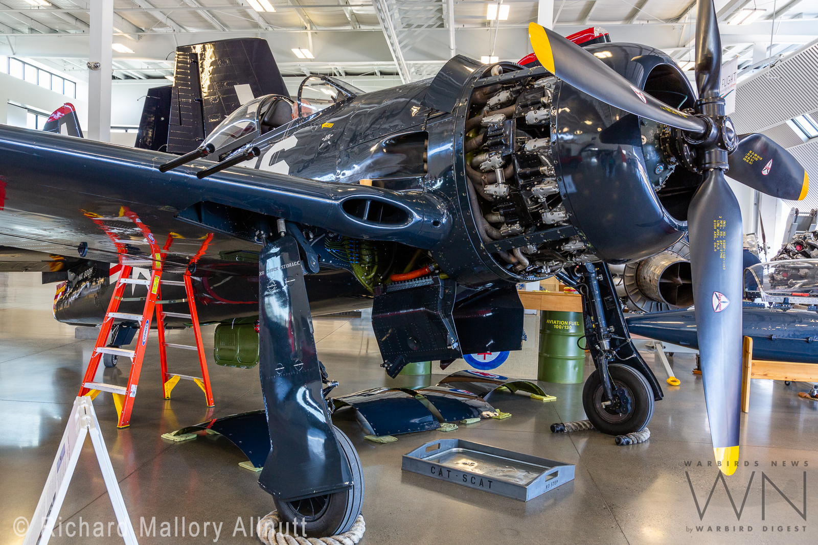 Flying Heritage & Combat Armor Museum - Pacific Theatre Day - Sat.23rd June 11 C8A7607