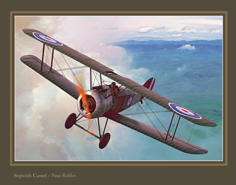 The Nature of WWI Aircraft - Javier Arango & Philip Makanna 13 CAMEL PG 110 Phil Makanna