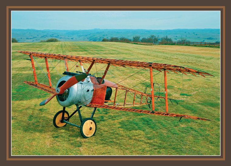 The Nature of WWI Aircraft - Javier Arango & Philip Makanna 14 CAMEL PG 116 Phil Makanna