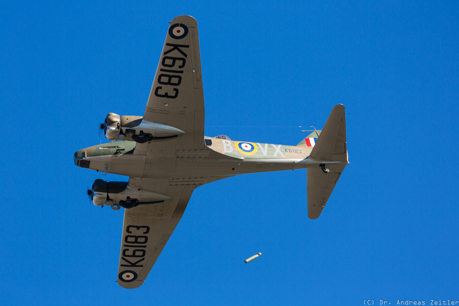 Outstanding Omaka! 21 CF15