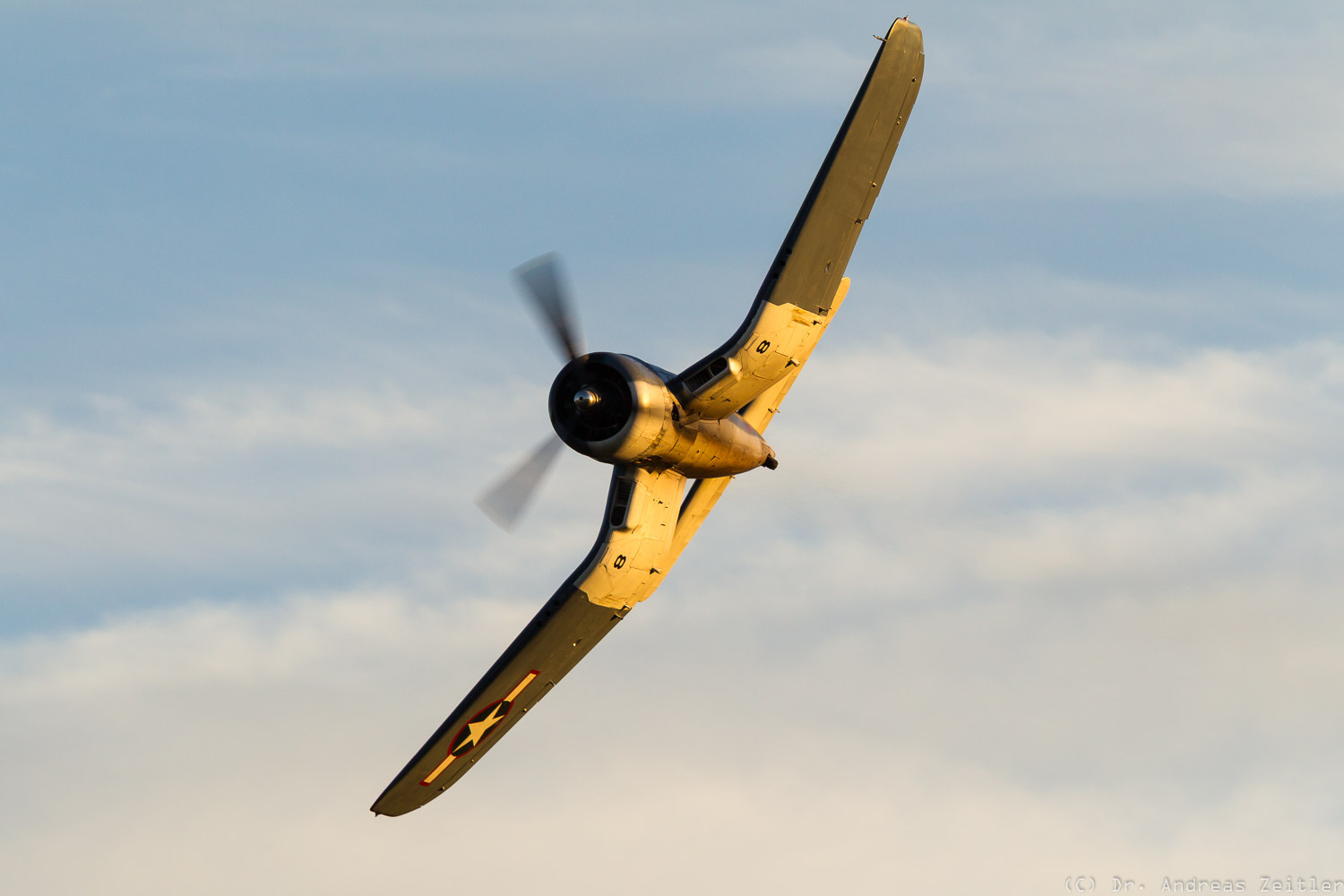 Outstanding Omaka! 13 The former RNZAF FG-1D Corsair thrilled the crowd during the sunset display. (photo by Anders Zeitler)