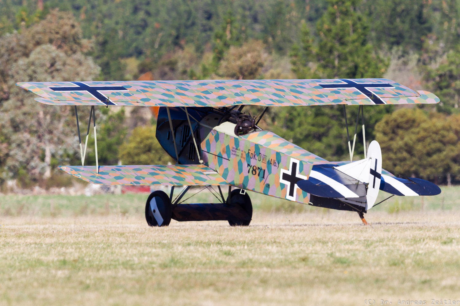Outstanding Omaka! 18 A Fokker D.VII taxies out for take off. (photo by Anders Zeitler)