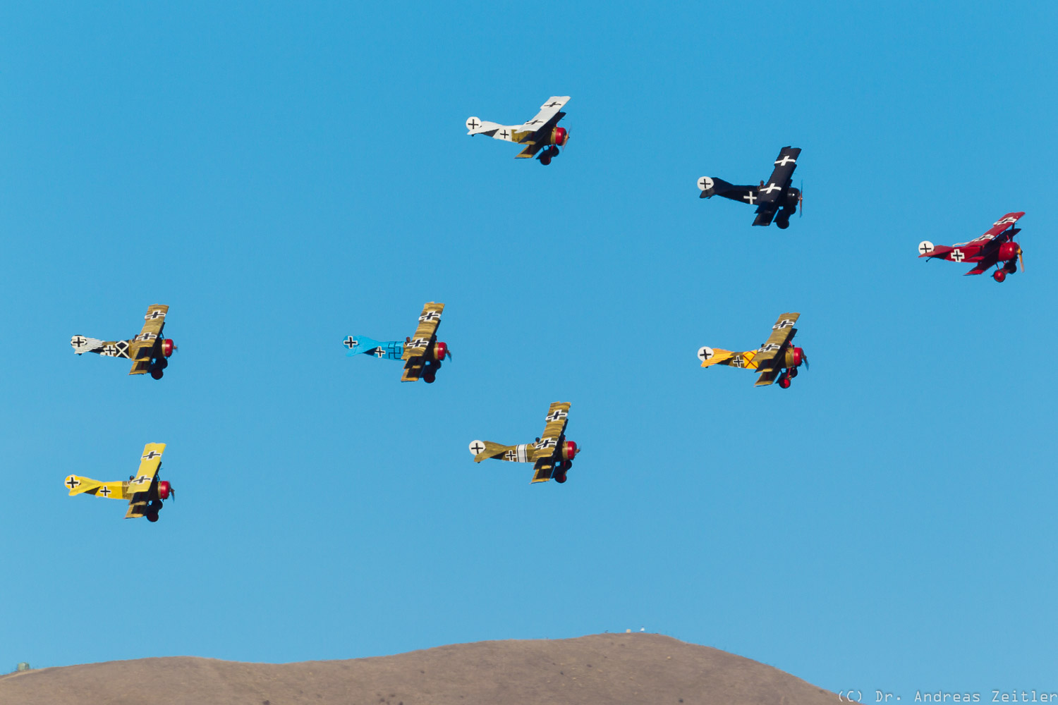 Outstanding Omaka! 17 CF15