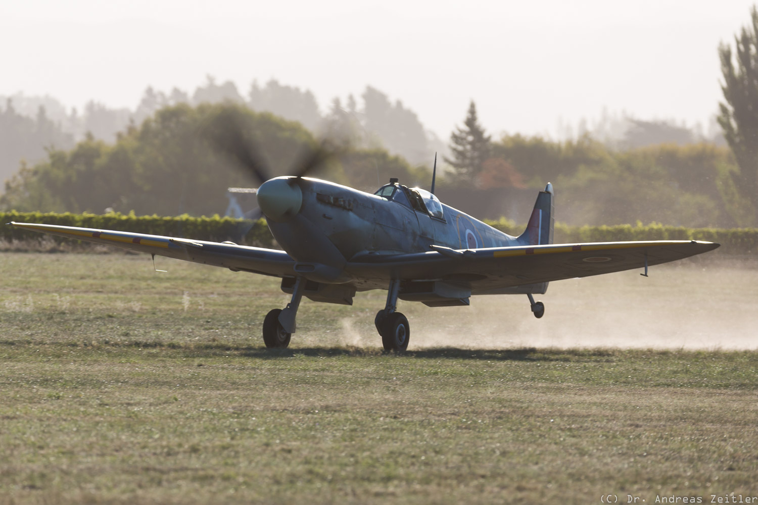 Outstanding Omaka! 12 CF15