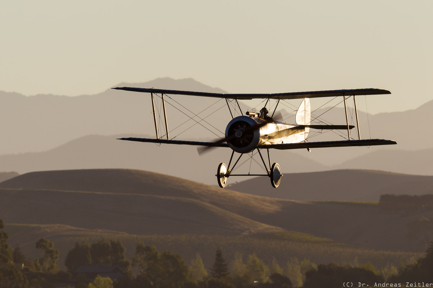 Outstanding Omaka! 14 CF15