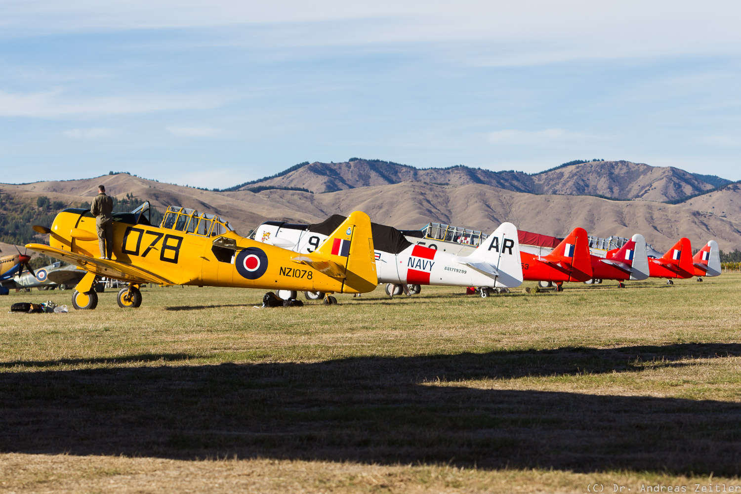 Outstanding Omaka! 23 CF15