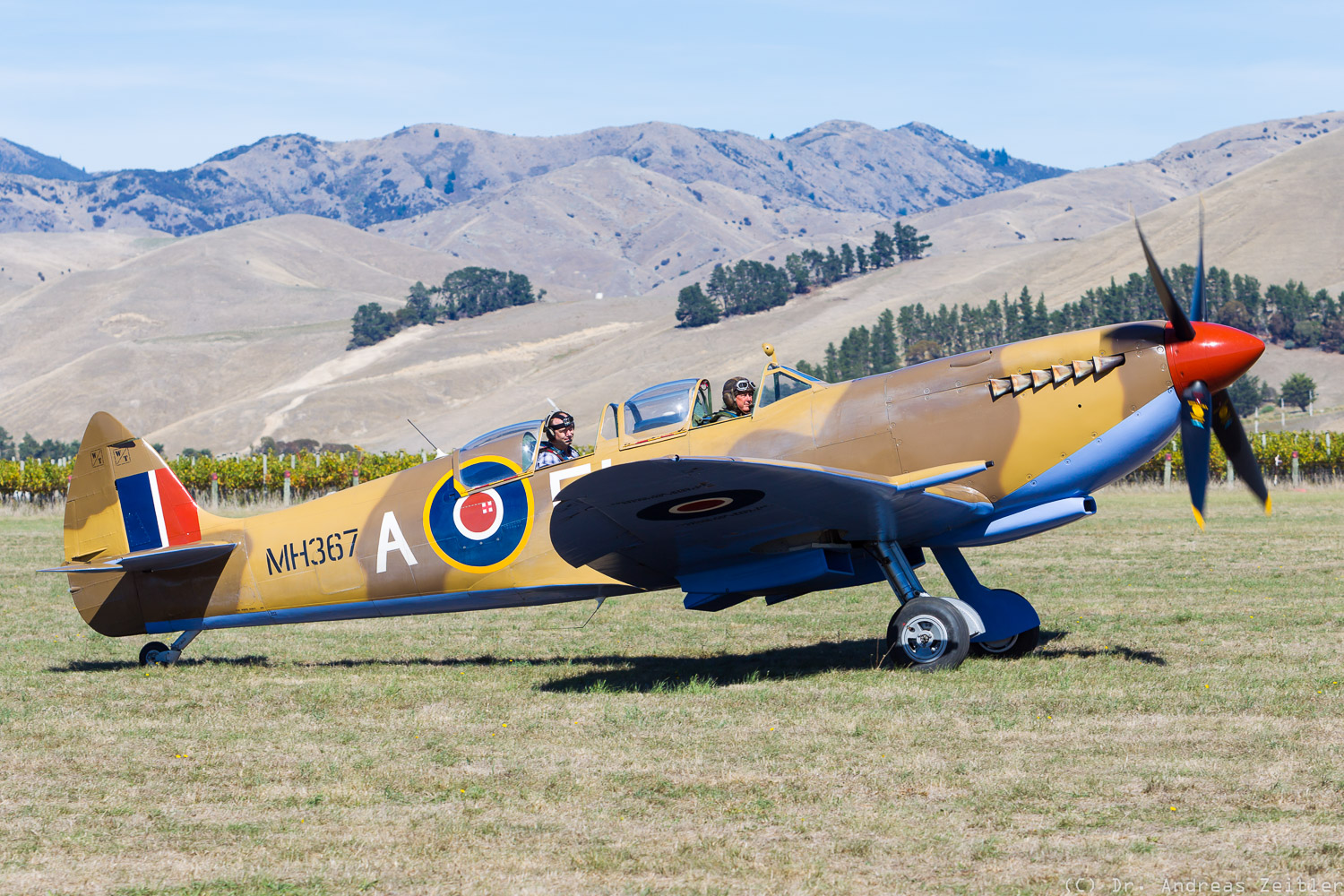 Outstanding Omaka! 24 CF15