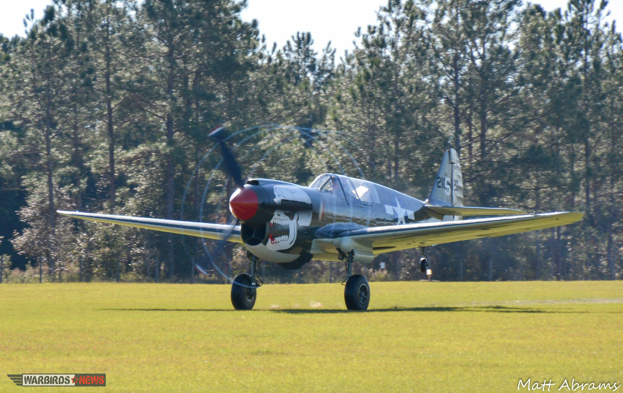 Curtiss P-40N Warhawk – Aleutians Veteran Offered for Sale 11 Curtiss P 40N Warhawk WM 5