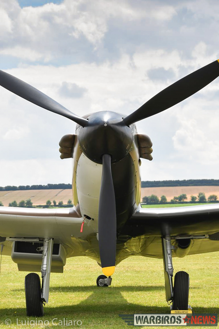 Flying Legends 2017 - Air Show Report 11 A closeup of Spitfire Mk.I showing the unusual Battle of France era lower coloring. (photo by Luigino Caliaro)