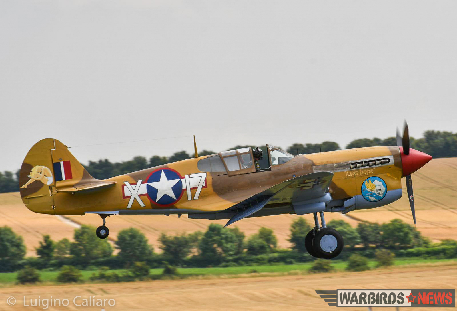 Flying Legends 2017 - Air Show Report 38 The Fighter Collection's very rare, Merlin-engined P-40F. (photo by Luigino Caliaro)