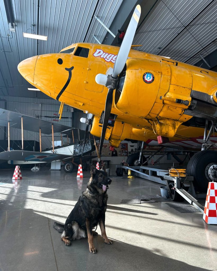 Wings of Wonder: Duggy The DC-3 and The Year That Inspired a Generation 79 DC 3 Duggy Fargo Air Museum