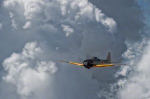 Flying Passion, Moose Peterson's Calendar 11 DPA2AA6M2076