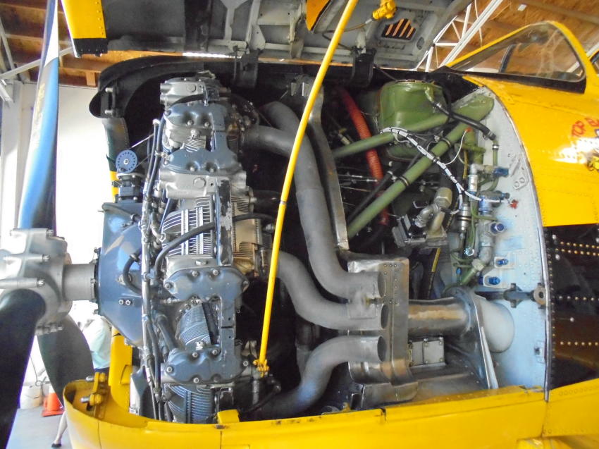 Trojans At Large: Fighter Performance for a Trainer Budget 10 DSC03665