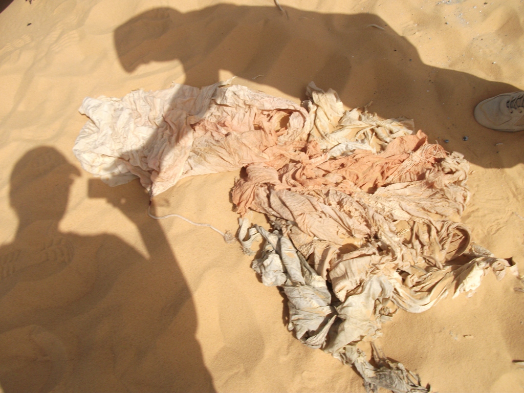 Desert War Kittyhawk Unveiled in Egypt 19 DSCF4741