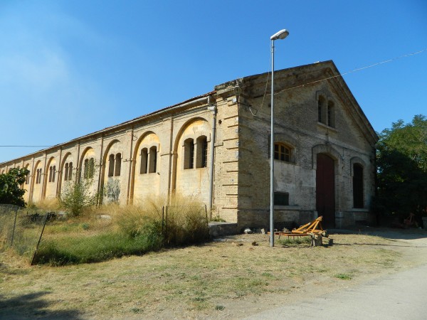 Memorial Planned for "Checkertails of Lesina" - 325th FG in Italy 13 The "Thunderbolt" Gymnasium in Ripalta. (photo via Tom Ricci)