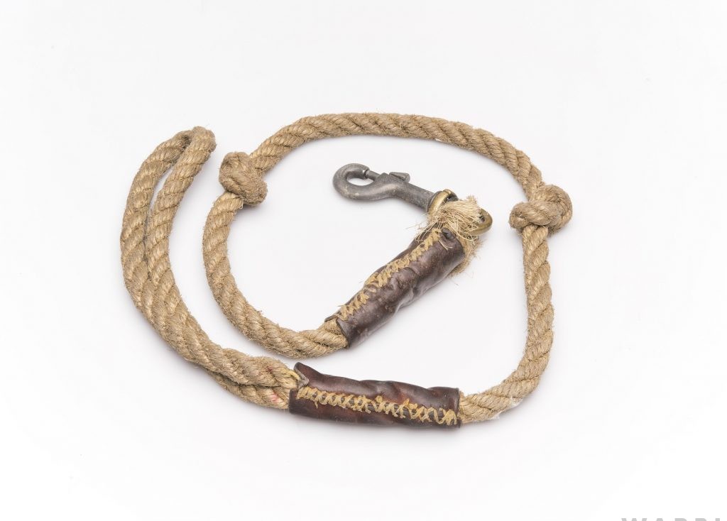 Adoptions Help Keep The RAF Museum Flying 12 Dog Lead