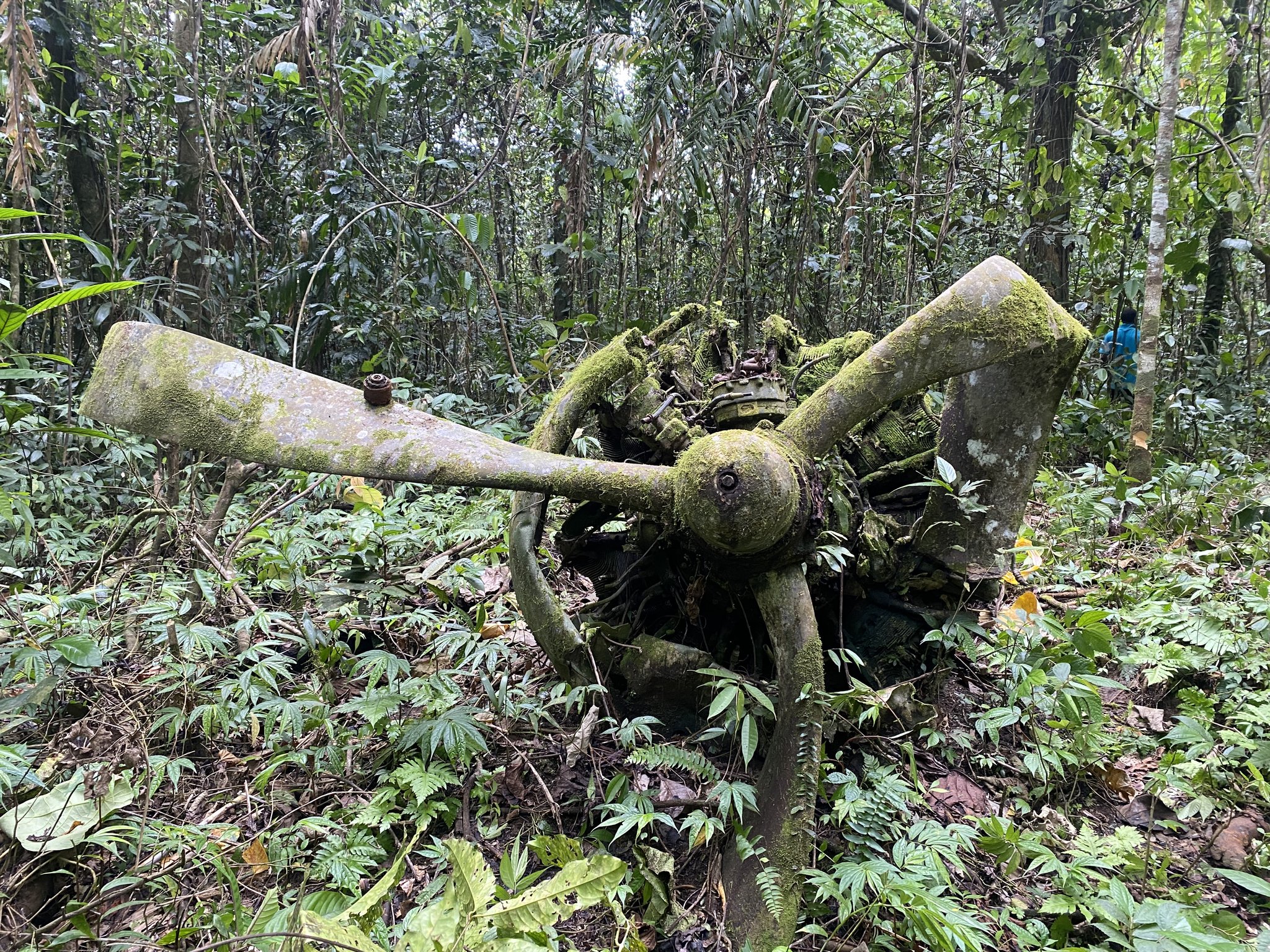 The Swamp Ghost and the Fight to Protect Pacific War Wrecks 19 Echoes of War in the Jungle Two WWII Corsairs Unearthed on Espiritu Santo