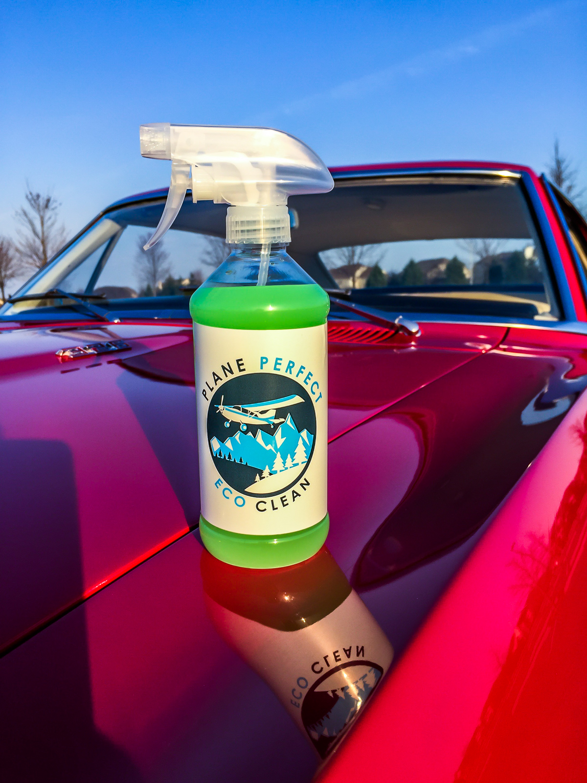 Plane Perfect! 13 A 1967 Pontiac Firebird following a clean with Plane Perfect's EcoClean. It had sat ALL WINTER with dust and dirt on top. Look at that reflection!