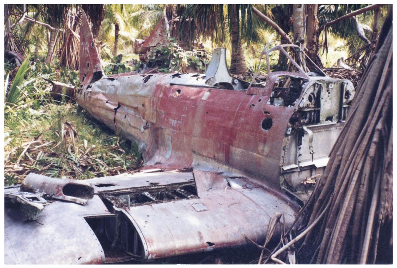 The Military Aviation Museum's A6M3 Zero 32 F04 3489 Lsmall 1